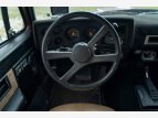 Thumbnail Photo 8 for 1990 Chevrolet Blazer